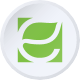 Energy Focus, Inc.