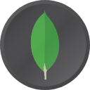 MongoDB, Inc.