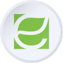 Energy Focus, Inc.
